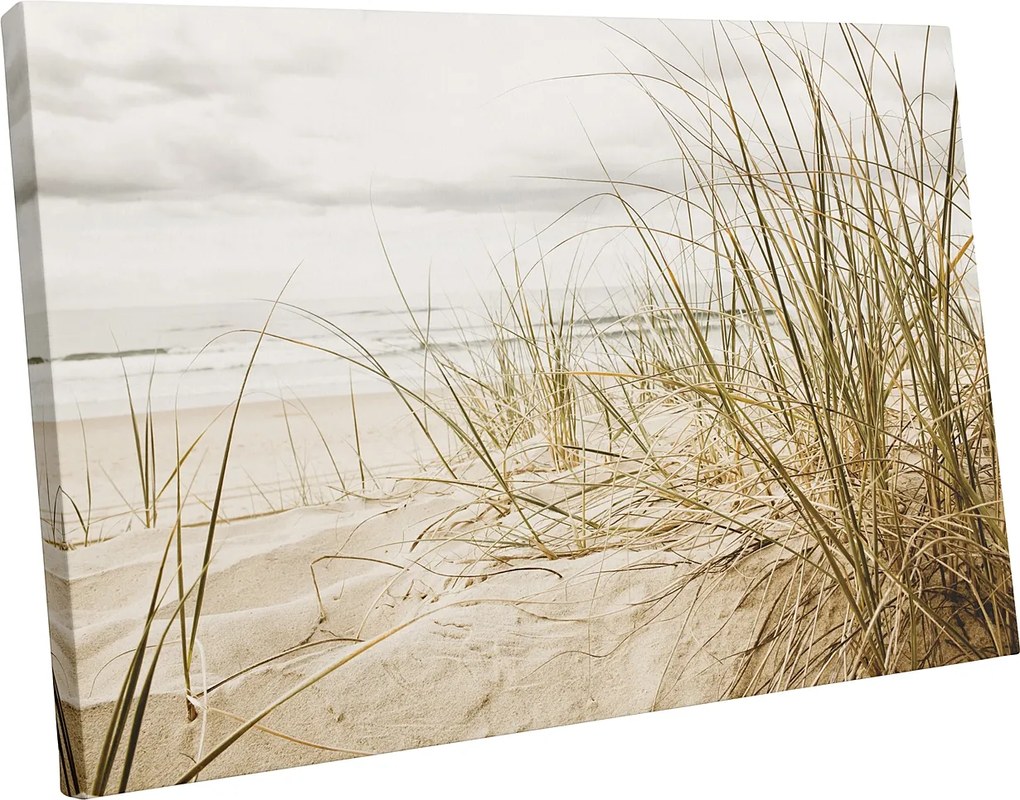 Vászonkép tengerpart dűnék növényzet Modern falikép 100x70