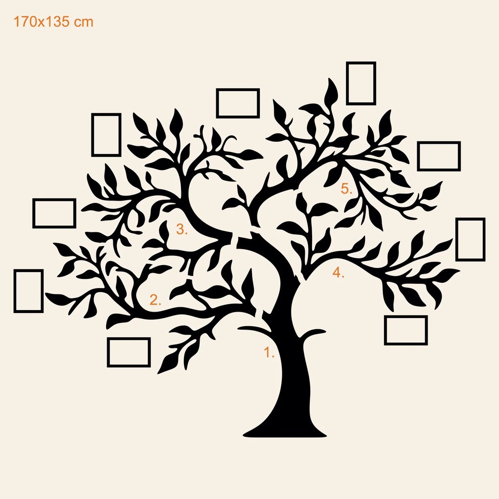 DUBLEZ | Fa falmatrica – Családfa fényképekkel
