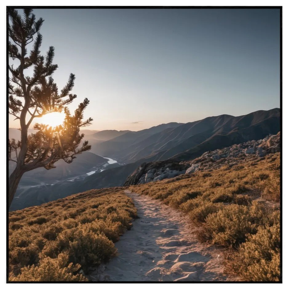 Kép 50x50 cm Mountain Path