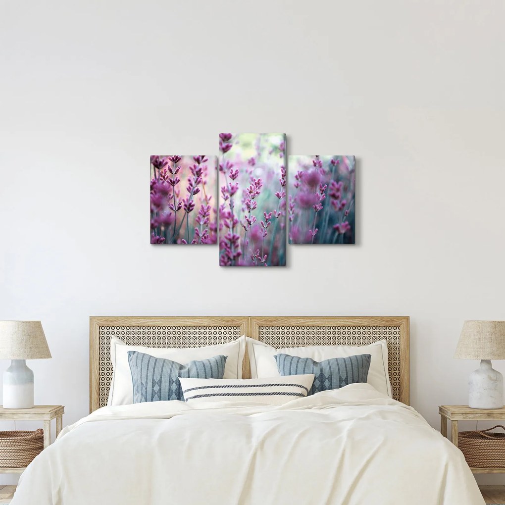 Kép - Levendula (90x60 cm)
