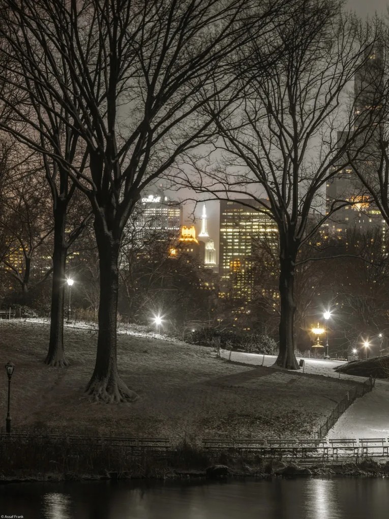 Poszter 30x40cm Central Park éjszaka, Assaf Frank