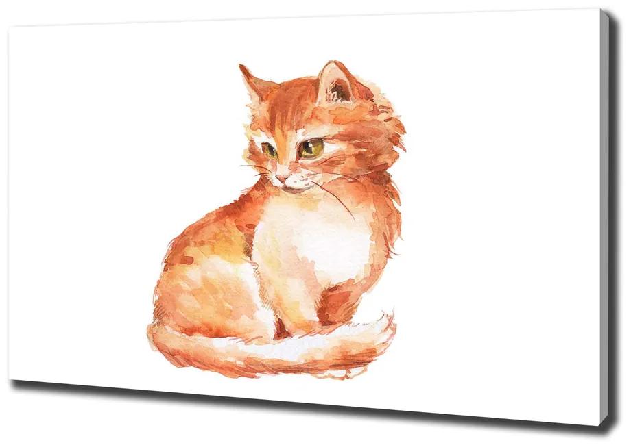 Vászonkép Red cat pl-oc-100x70-f-120895228