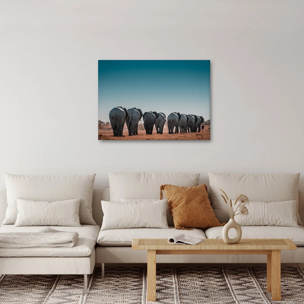 Kép - Elefántok indulása (70x50 cm)