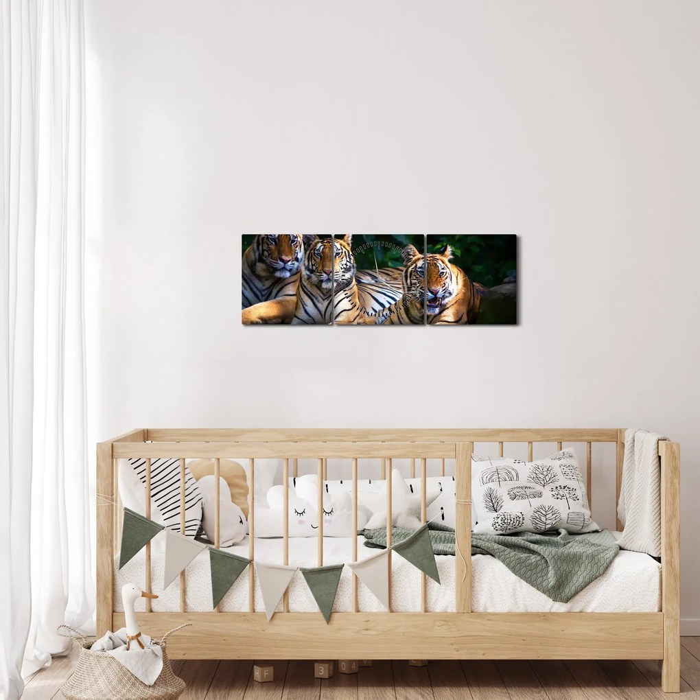 Kép - Tigris testvérek (órával) (90x30 cm)