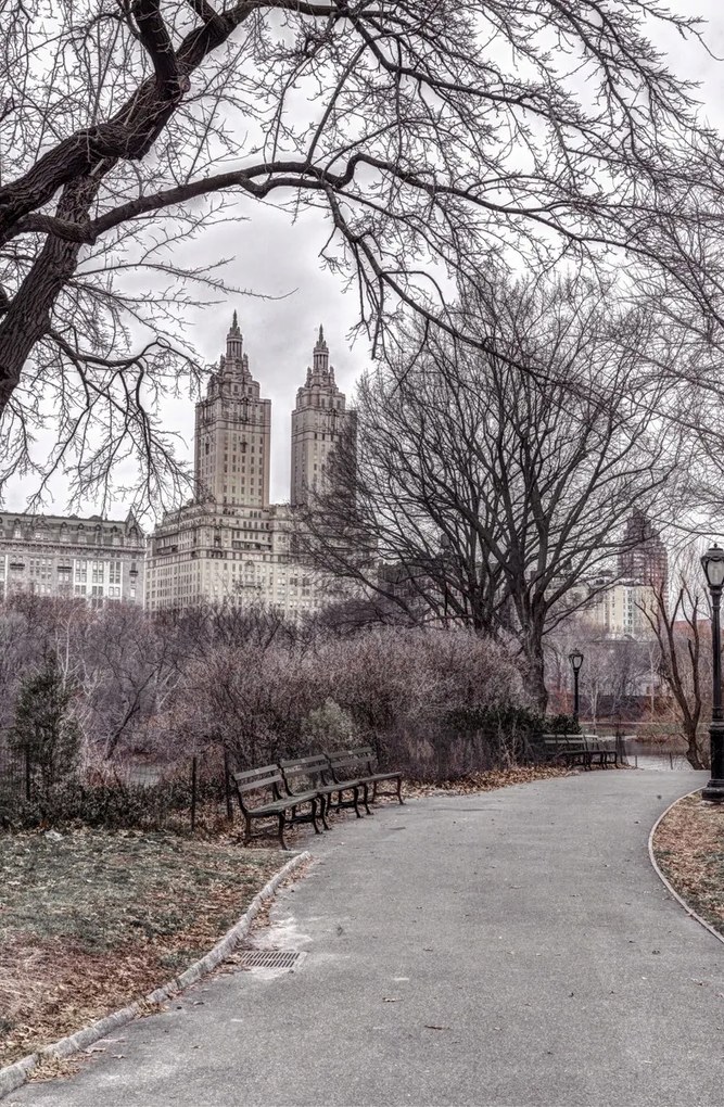 Poszter 53x81cm Ösvény a központi parkon át 2, Assaf Frank