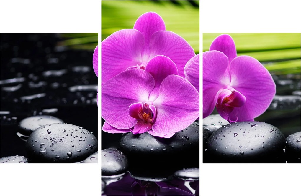 Kép - Orchideák (90x60 cm)