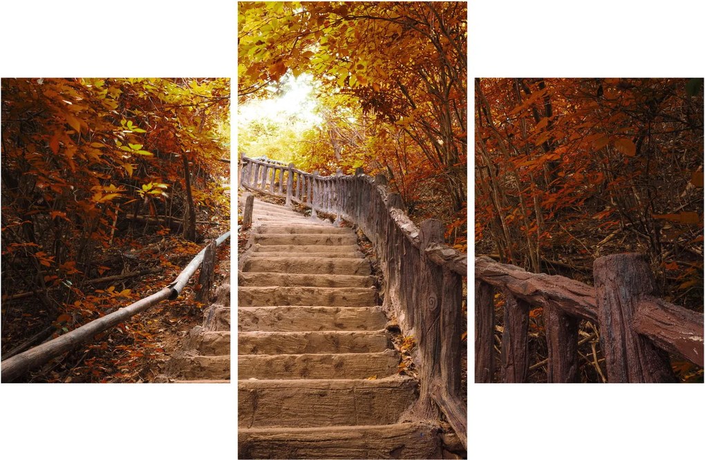 Kép - Lépcsők a természetben ősszel (90x60 cm)