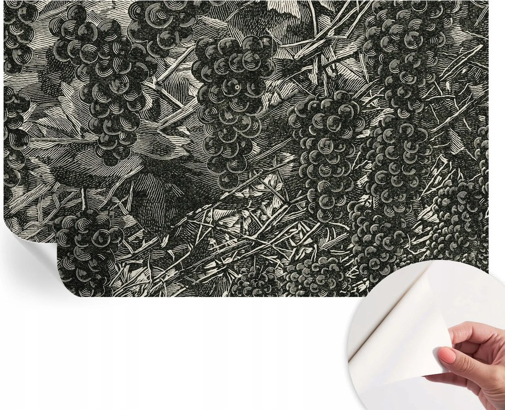 Divatos öntapadós fali tapéta Szőlő furnér nyomtatás 416x254 cm