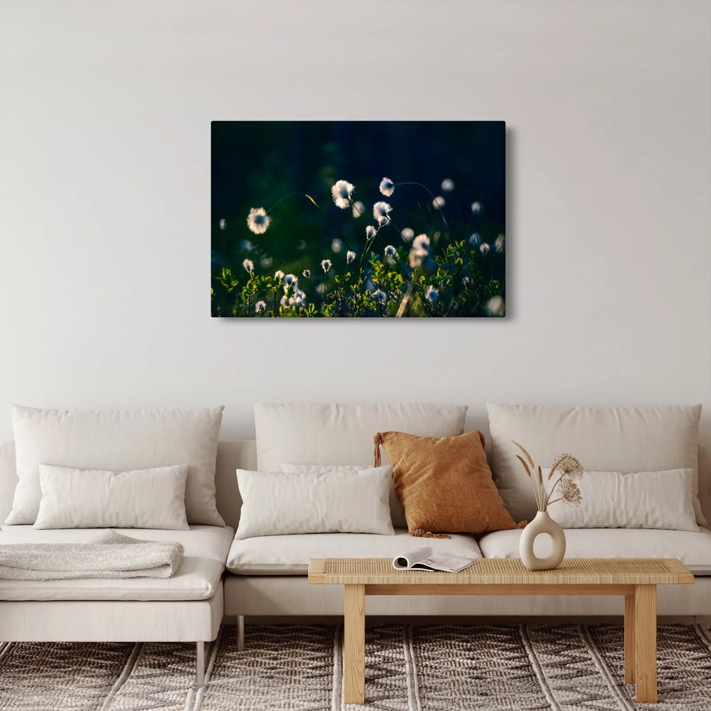 Kép - Fű (90x60 cm)