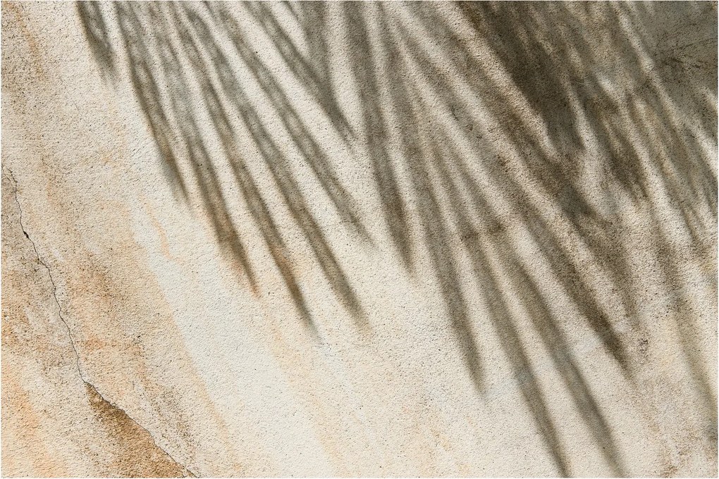 Kép - Árnyak (90x60 cm)