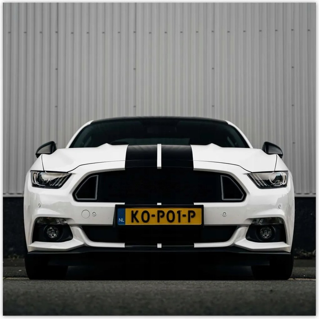 Poszter 70x70 Ford Mustang csíkos