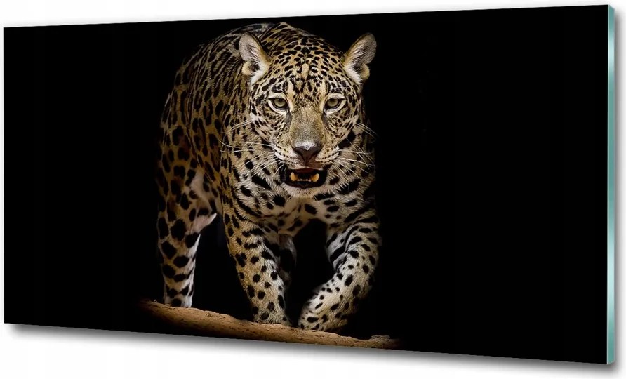 Fotó-kép fotó edzett üveg Jaguar 100x70