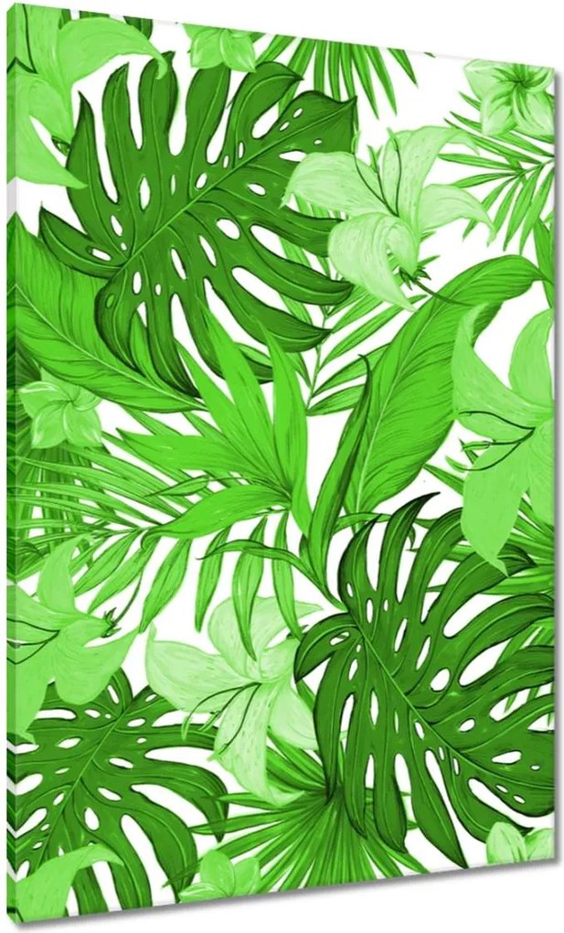 Festmények 70x100 Leaves Monstera New look