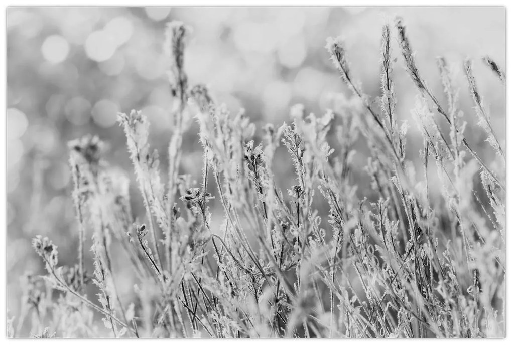 Kép - Hideg tél (90x60 cm)