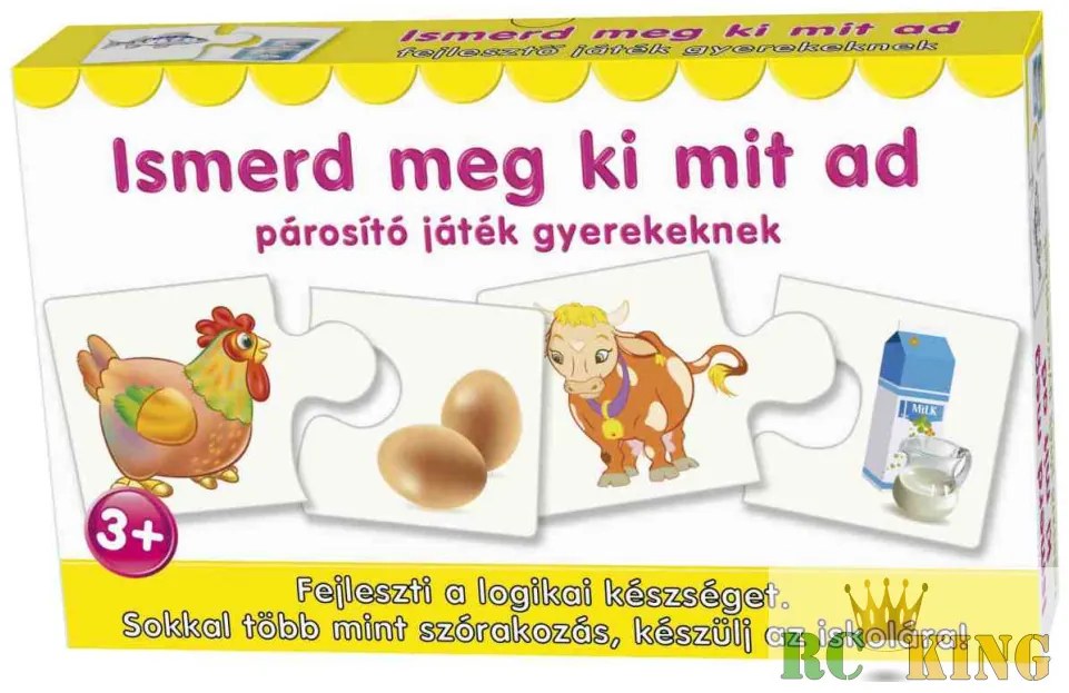 Párosító játék mix