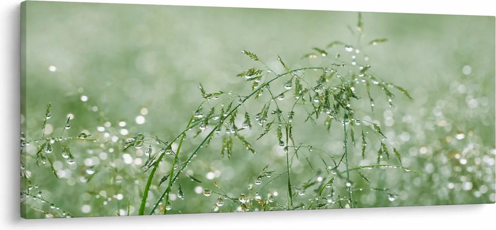 Kép - Harmat a fűben (120x50 cm)