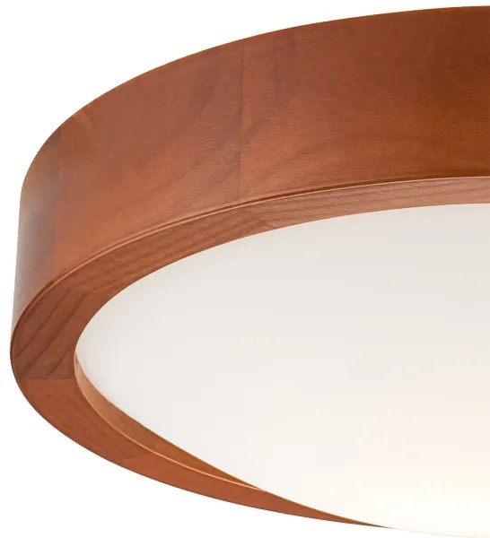 Mennyezeti lámpa 1xE27/60W/230V