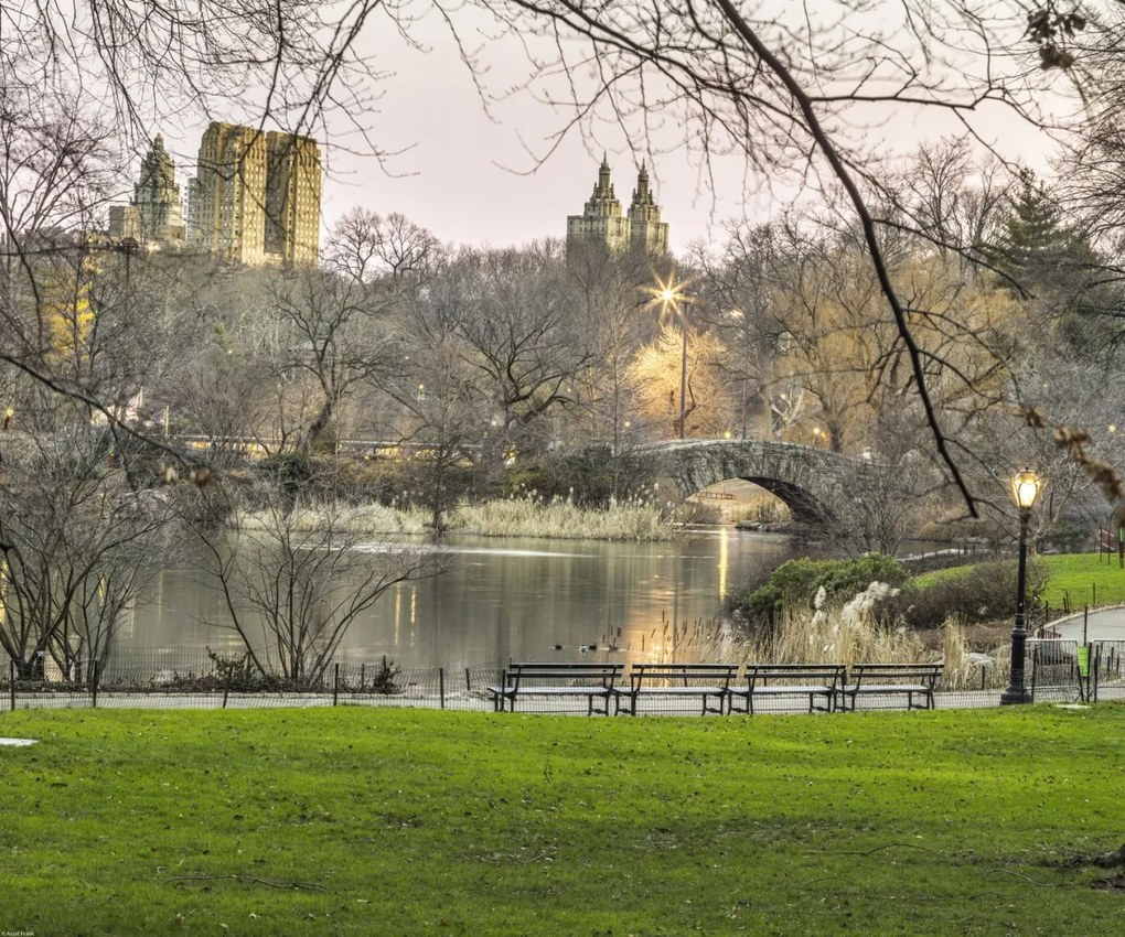Poszter 60x50cm Központi park Manhattan panorámával 5, Assaf Frank