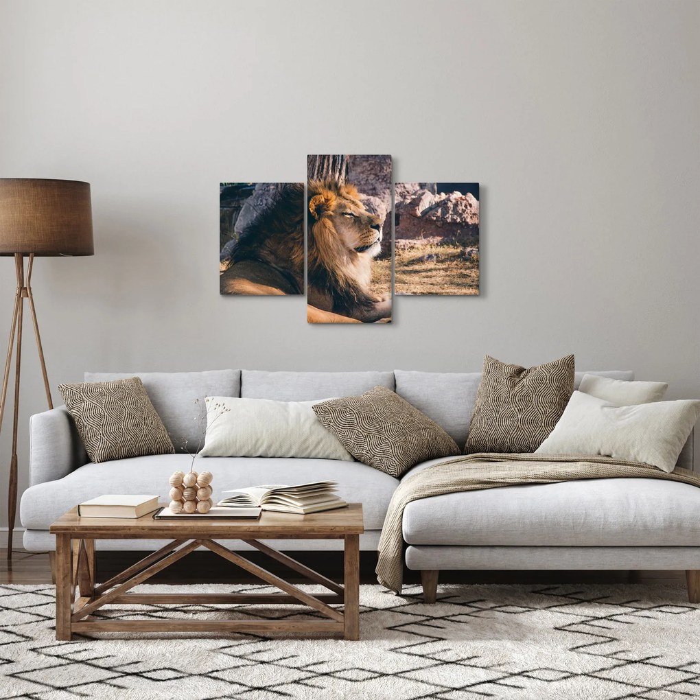 Egy fekvő oroszlán képe (90x60 cm)