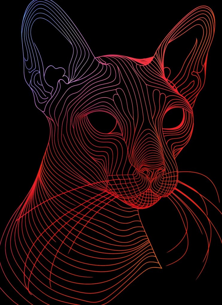 Poszter 40x55cm Digitális macska