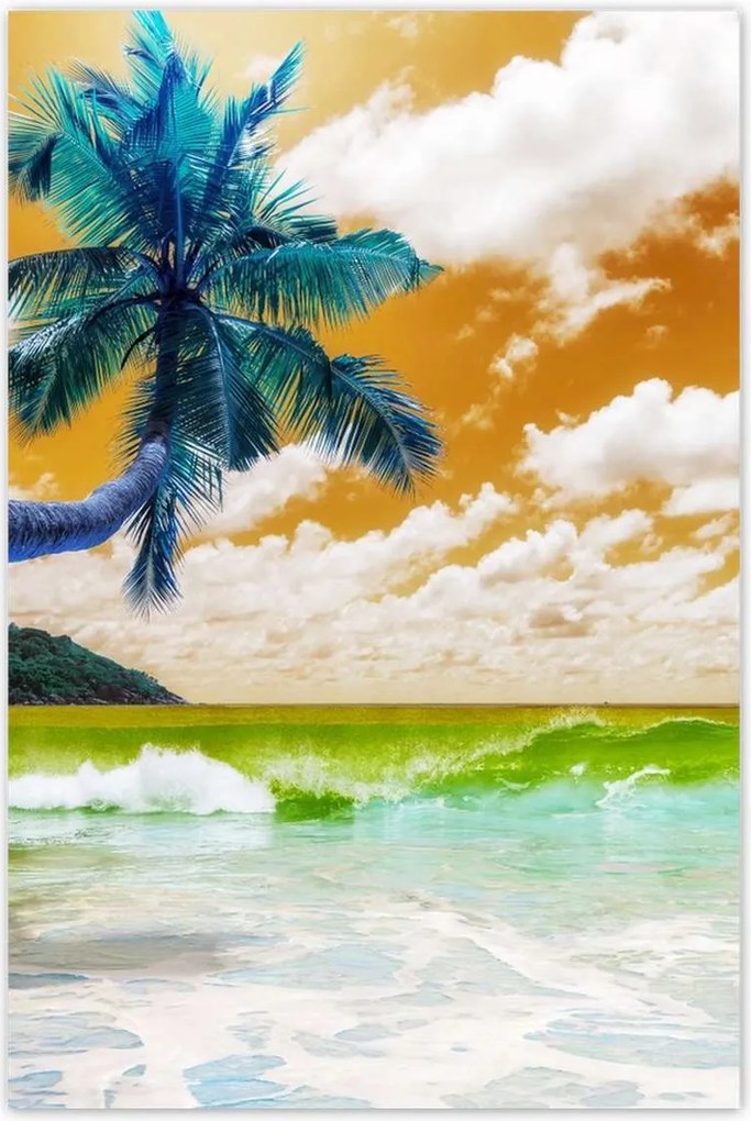 Poszterek 60x90 Trópusok Tájkép Pálma