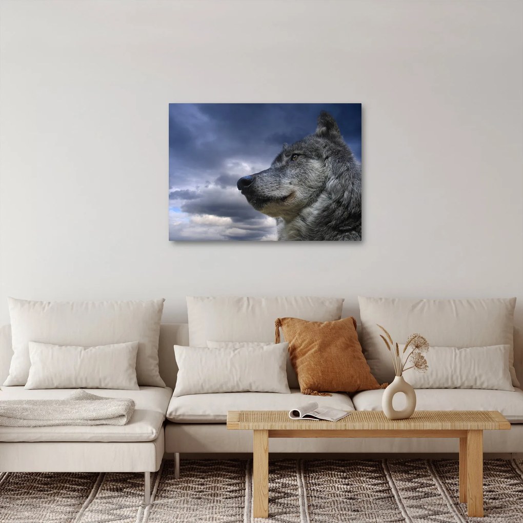 Kép - Farkas feje (70x50 cm)