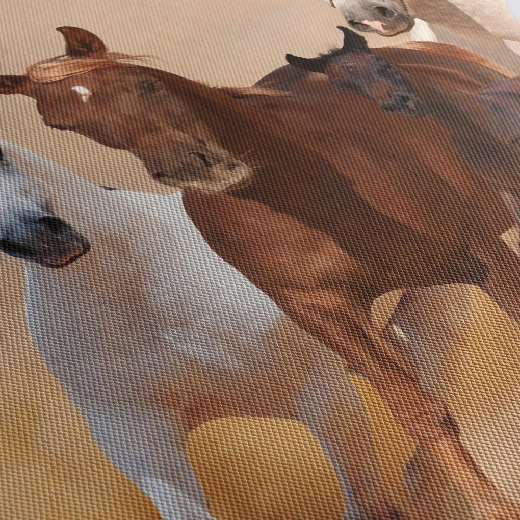 Kép - Lócsorda (150x105 cm)