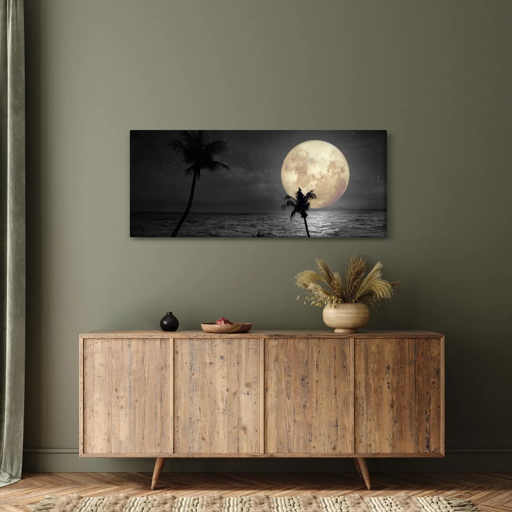 Kép - A strand a telihold alatt szürke tónusokkal (120x50 cm)