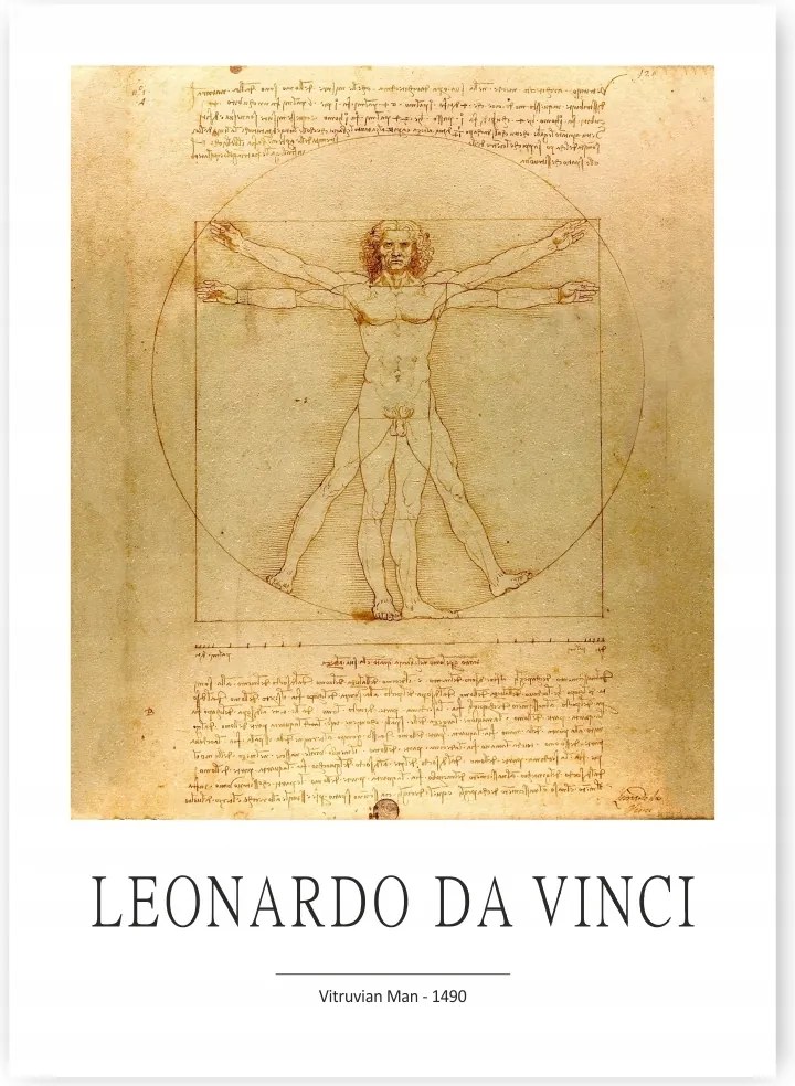 Leonardo Da Vinci Vitruvian Man A1 59,4x84cm #328