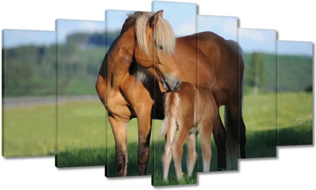 Festmények 140x80 A kanca és a csikó