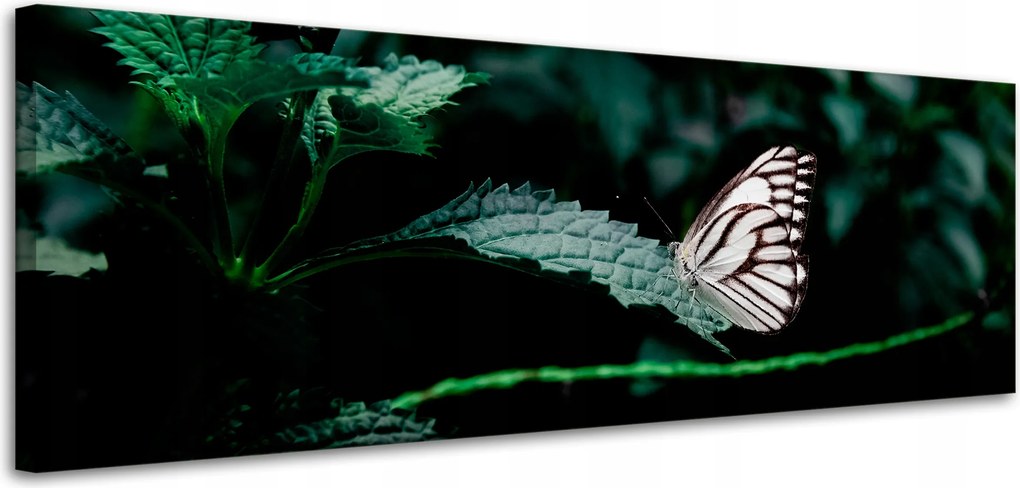 Vászonkép Természet Pillangó a levélen 120x40