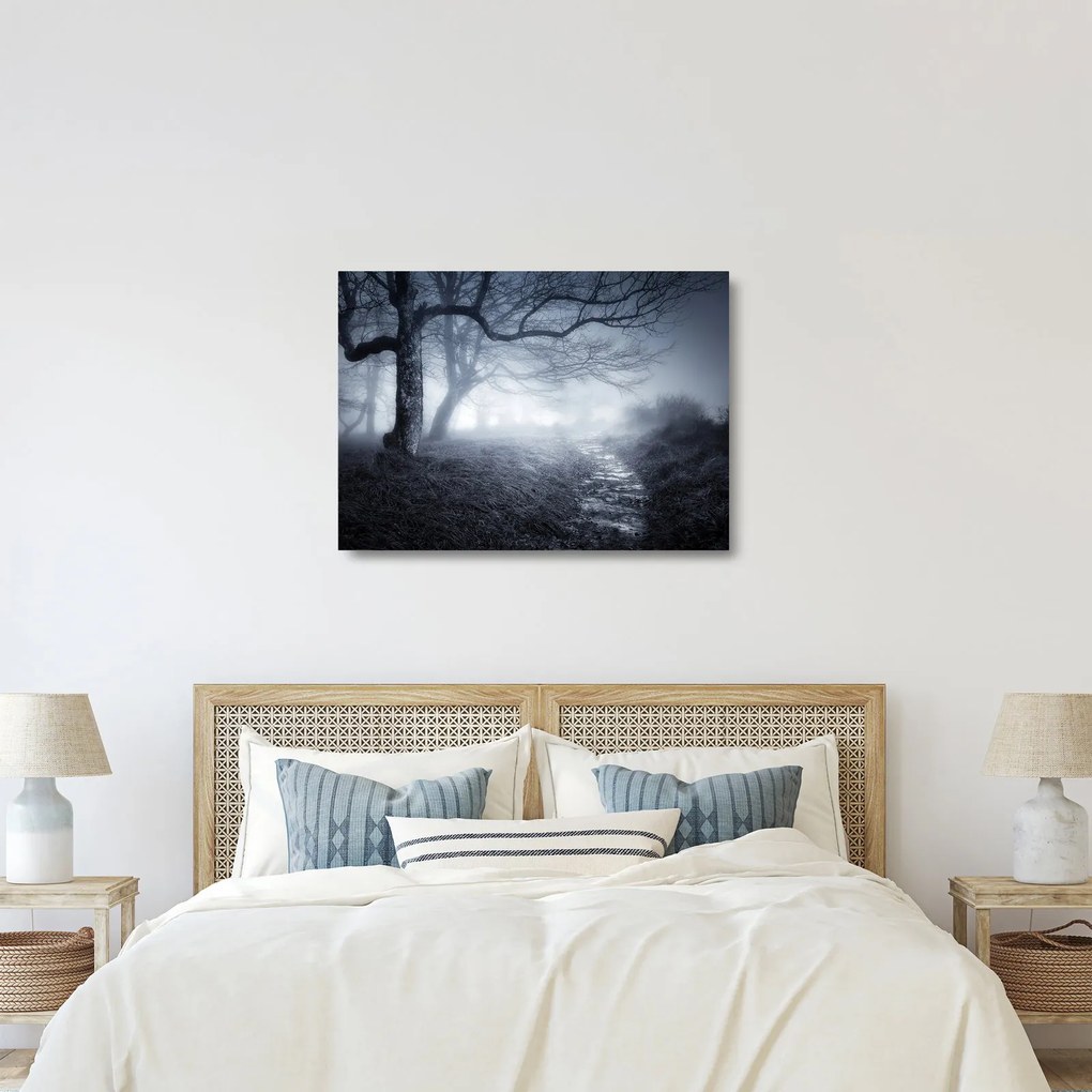 Kép - Út a ködben (üvegen) (70x50 cm)