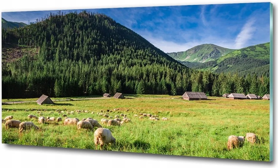 Fotó üveg kép Naplemente tenger 125x50