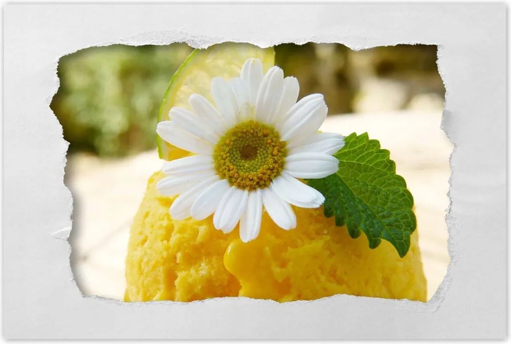 Poszterek 120x80 Gyümölcsös sárgabarack fagylalt