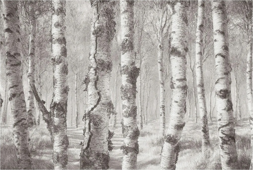 Dekoratív Fotótapéta Hálószobába Nyírerdő 104x70 Ragasztó