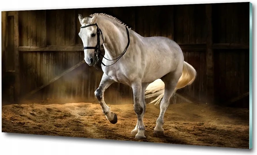 Fotó-üvegkép Fehér ló az istállóban 100x70