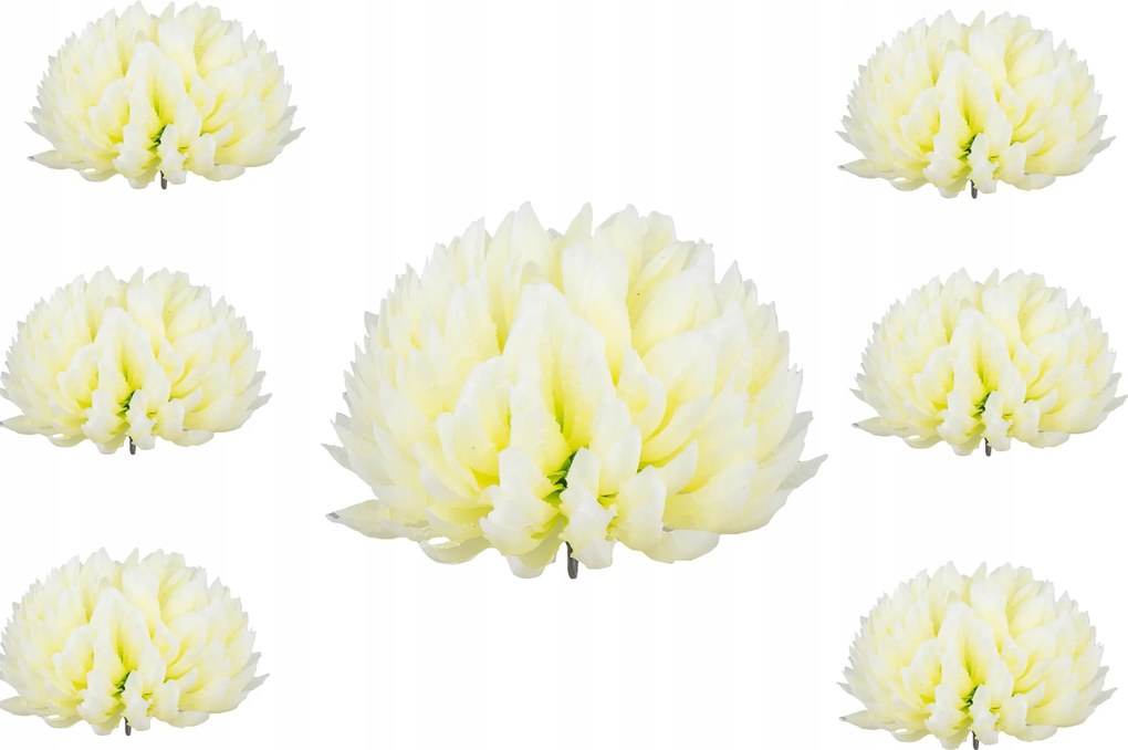 6x Krizantém Ananász Fej Művirág Krizantém