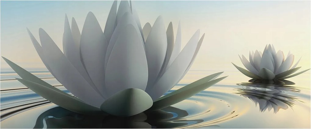 Fotótapéta Flizelina Nappali és Hálószoba Irodába Vízi liliomok 250x104 Ragasztó