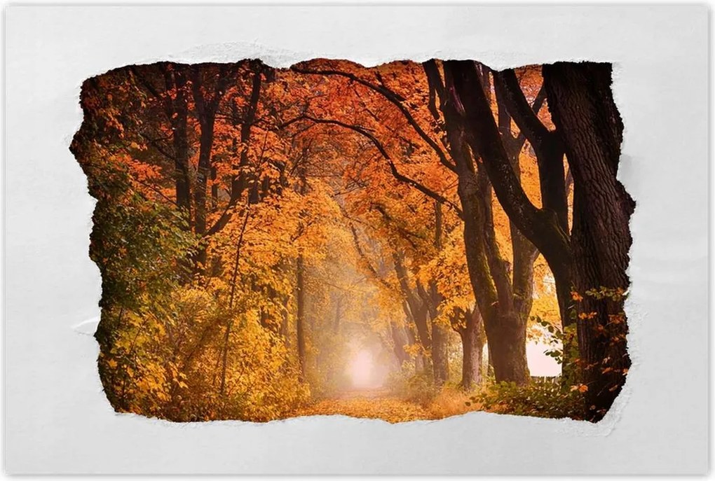 Poszterek 120x80 Őszi kilátás