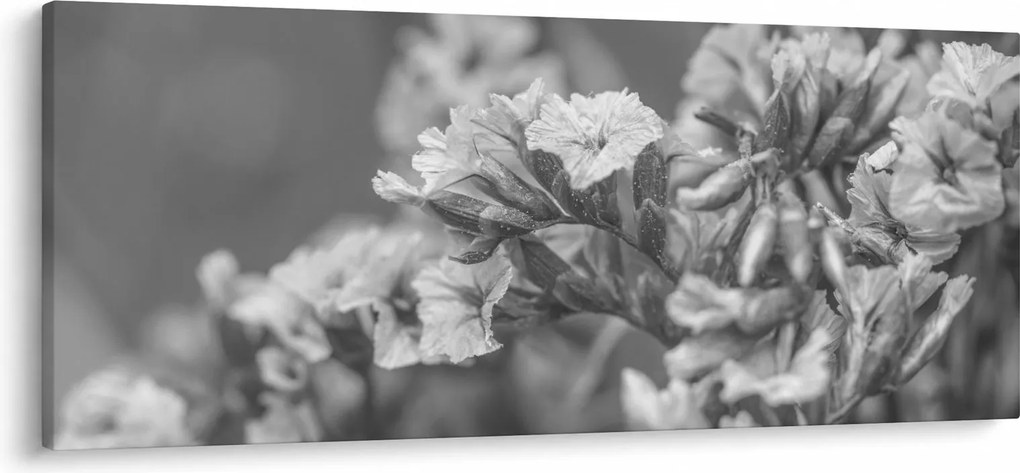 Kép - Szárított virágok (120x50 cm)