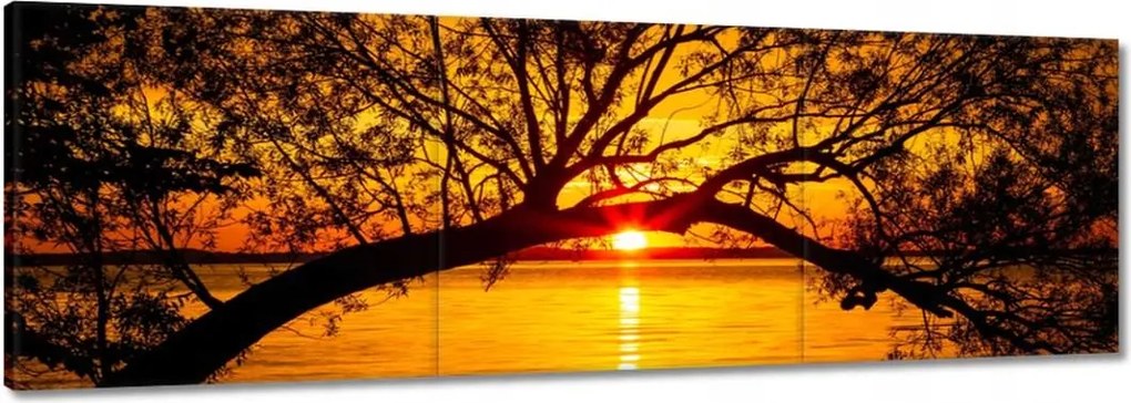 Vászonkép 60x20 Tengerpart Fa Tenger