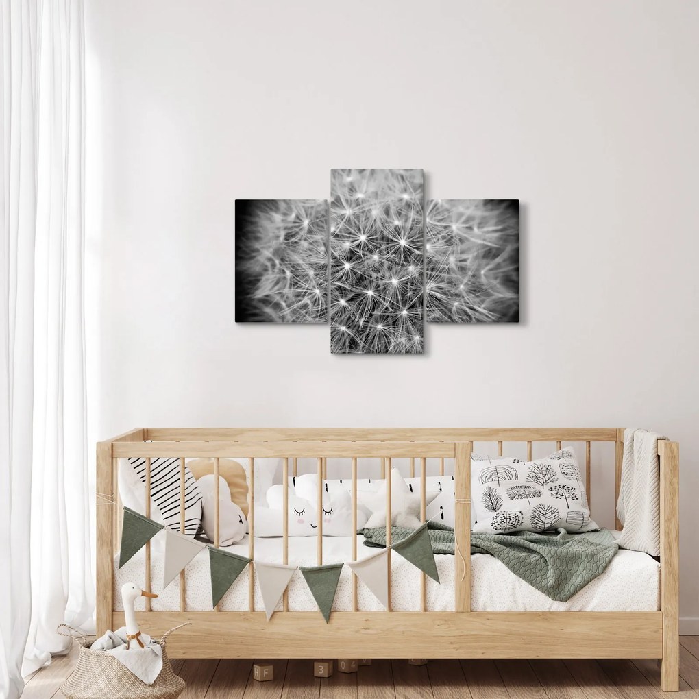 Szürke pitypang képe (90x60 cm)