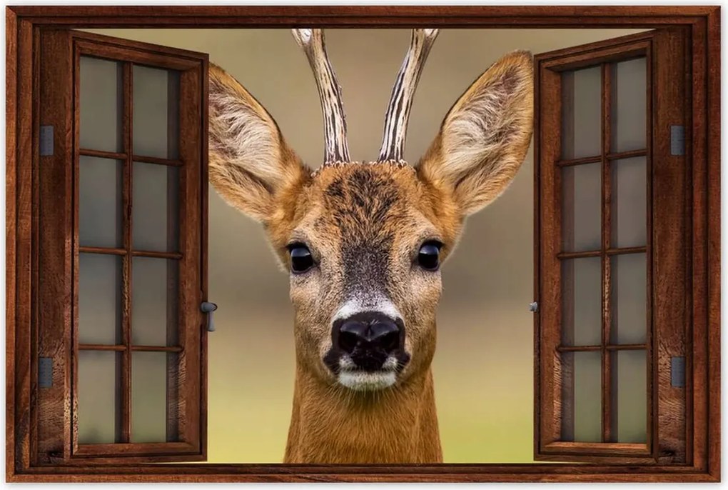 Poszter 60x40 Kecske úr szarvak