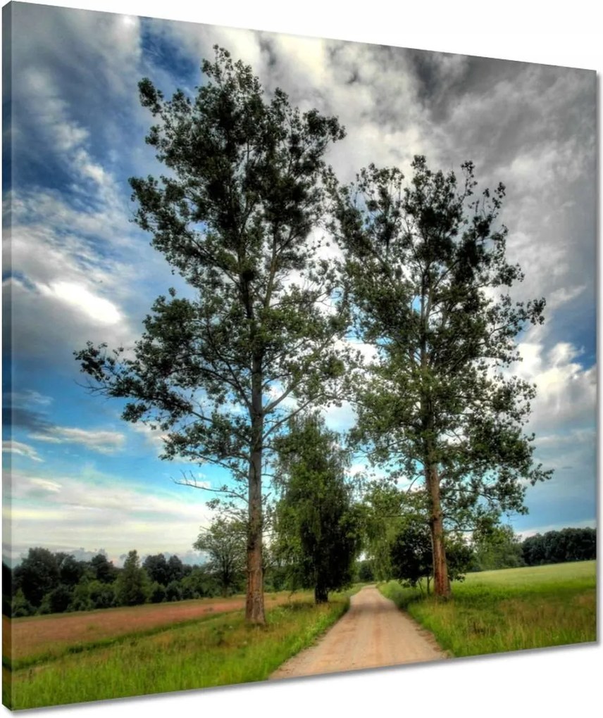 Vászonkép 60x60 Vidéki út