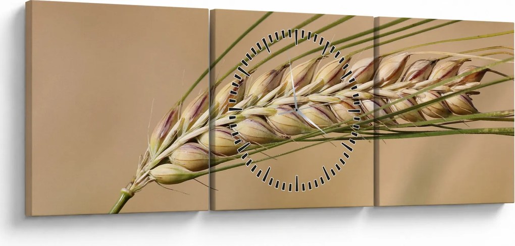 Kép - Búza (órával) (90x30 cm)