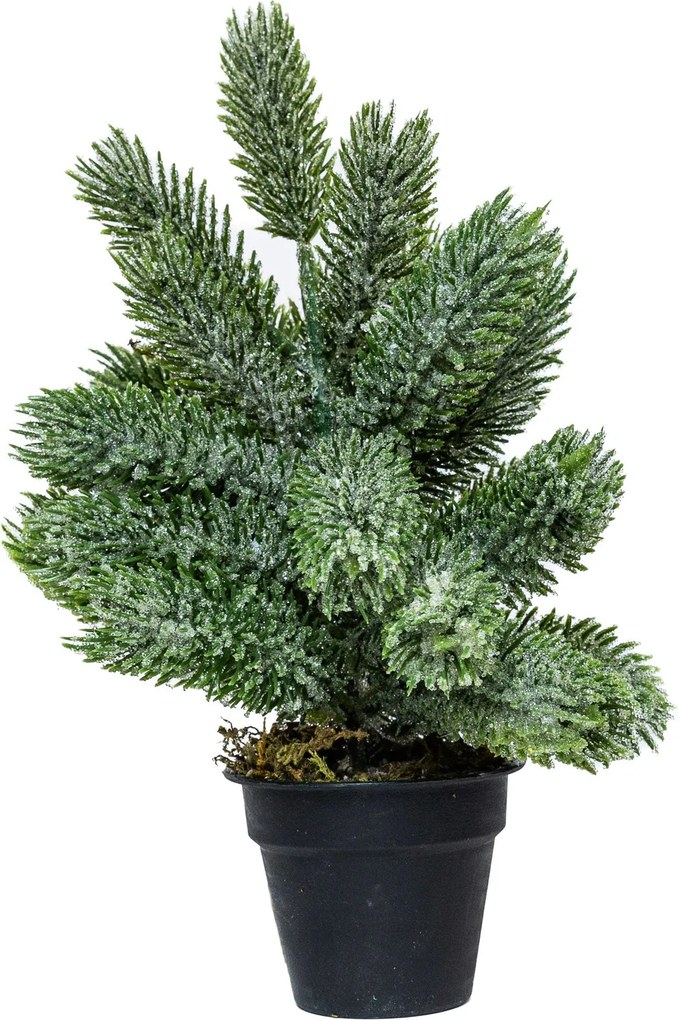 Mini műfenyő cserépben 22 cm Nagyon havas
