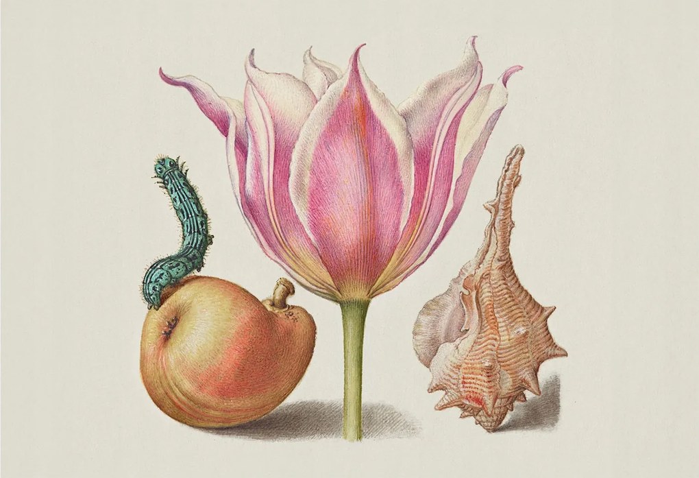 Tapéta Flizelin Falfestmény Prémium Természetes szimbiózis 152x104 Ragasztó