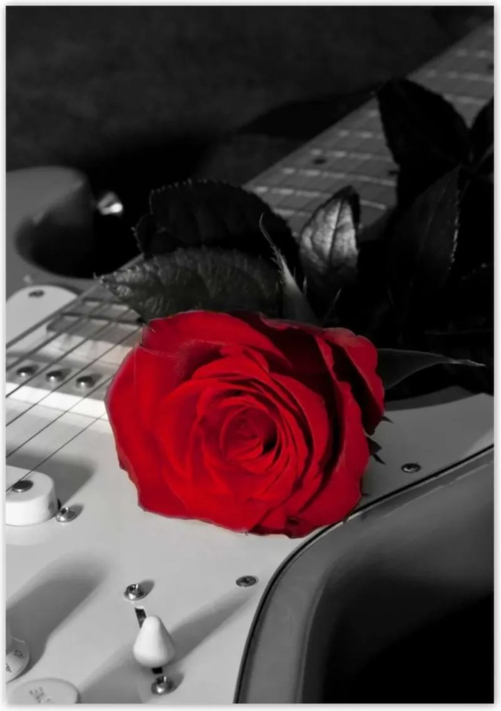 Poszterek 70x100 Elektromos gitár rózsával