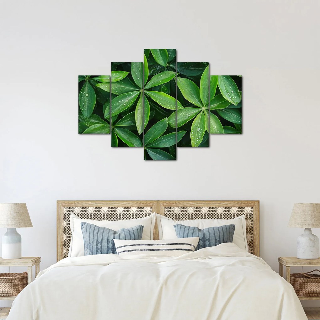 Kép - Levelek harmatcseppekkel (150x105 cm)