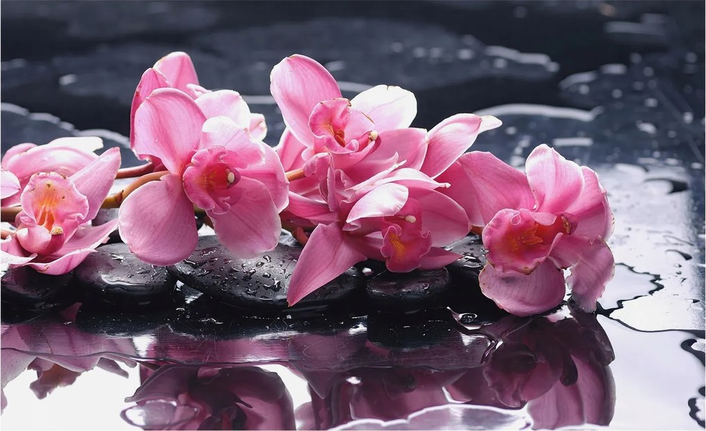 Modern fotótapéta Flizelina falra Virágos elegancia 416x254 Ragasztó